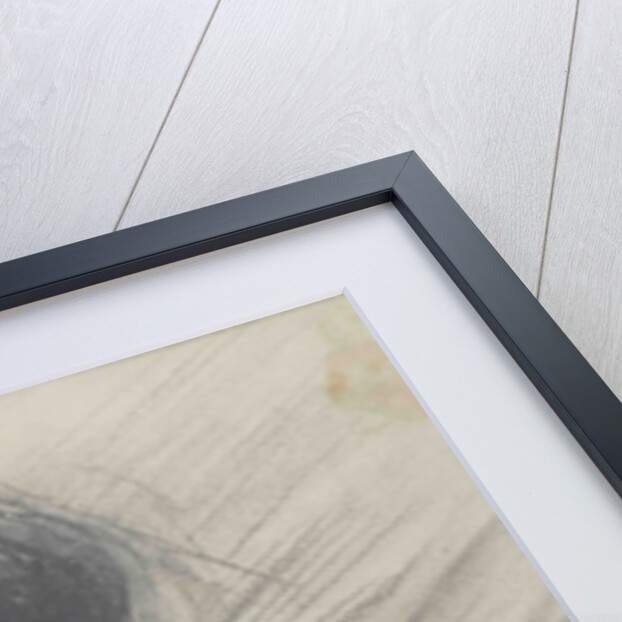 Portrait of the opera singer Lina Cavalieri, c.1901-1902 by Anonymous