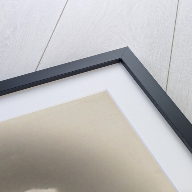 Portrait of the pianist and composer Alphonse Duvernoy, 1900 by Anonymous