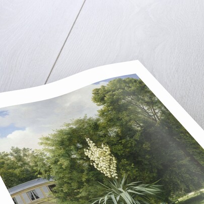 Yucca Gloriosa in the Park at Neuilly, 1845 by Anonymous