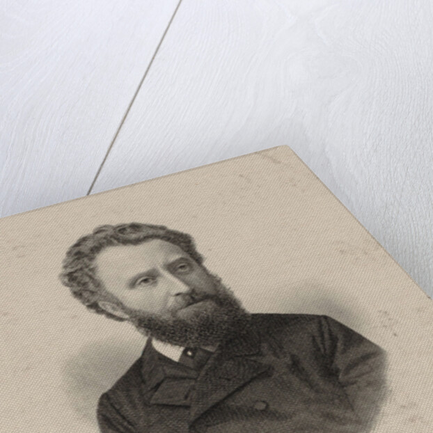 Portrait of the pianist und composer Friedrich Gernsheim, 1875 by Anonymous