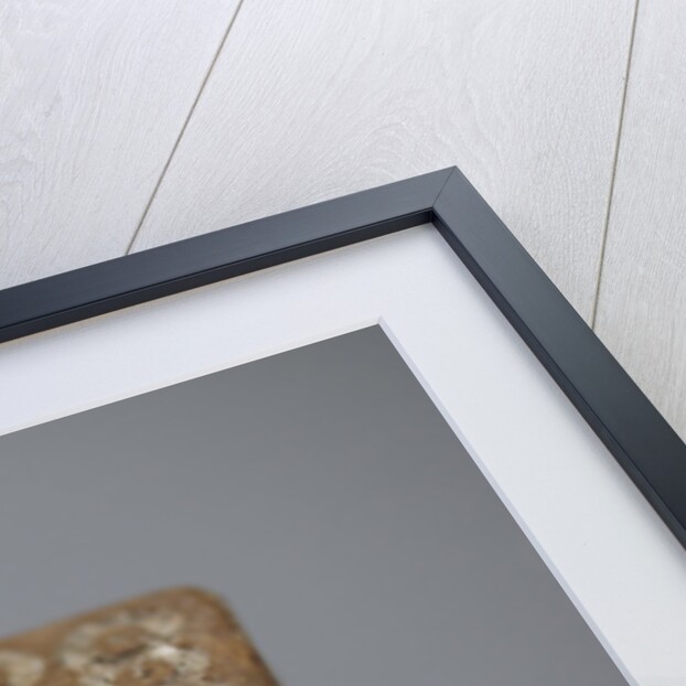 A pair of Roman dice made from carved bone, 1st century BC by Anonymous
