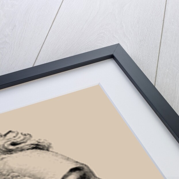 Alexandre, Vicomte de Beauharnais, 1889 by Anonymous