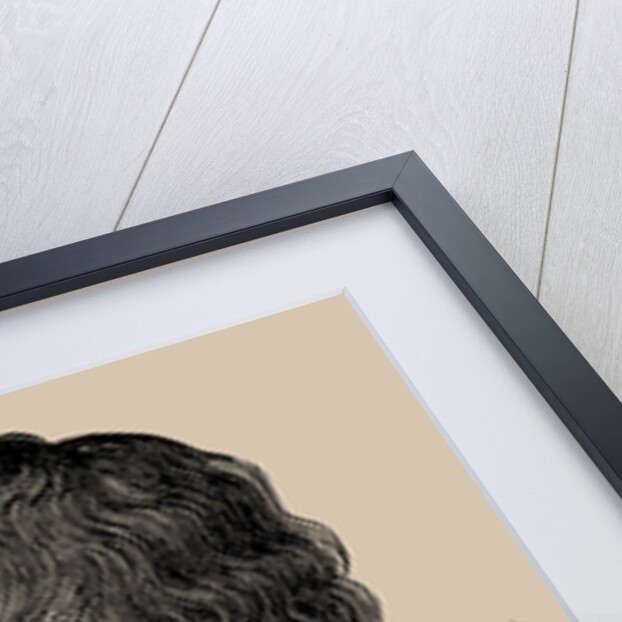 Ange Elisabeth Louis Antoine Bonnier dAlco, 1889 by Anonymous