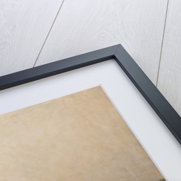 Boyars daughter, 1903 by Anonymous