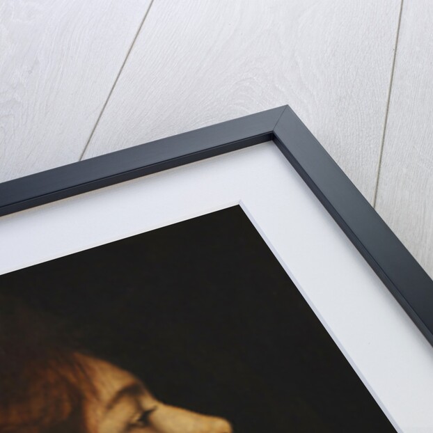 Cinderella, 1899 by Anonymous