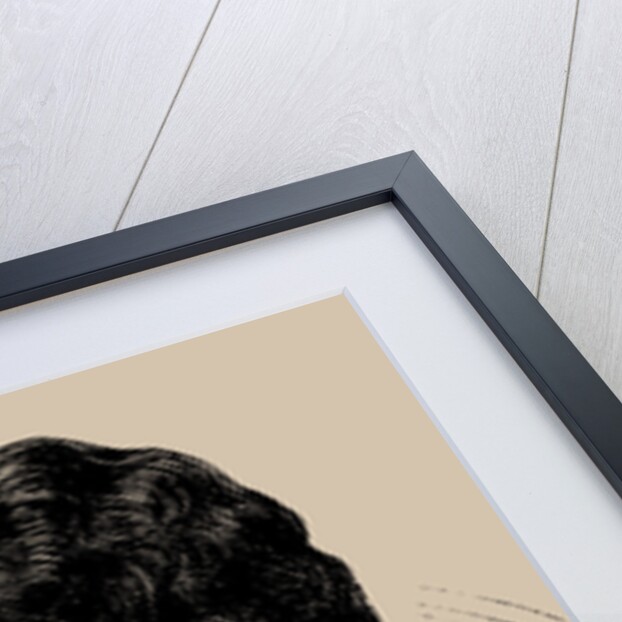 Edmond Louis Alexis Dubois-Crancé, 1889 by Anonymous