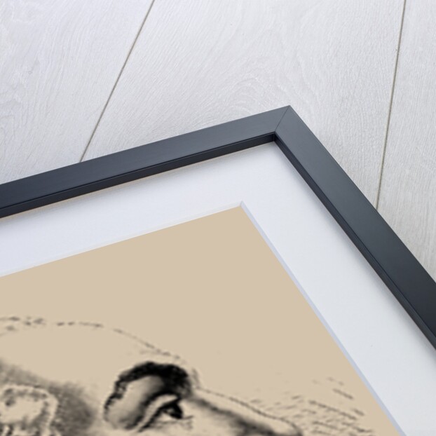 François Christophe Kellermann, Duc de Valmy, 1889 by Anonymous