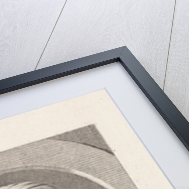 François-Athanase de Charette de la Contrie, 1805 by Anonymous