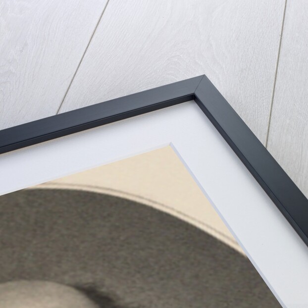 Jean-Baptiste Annibal Aubert du Bayet, 1796 by Anonymous