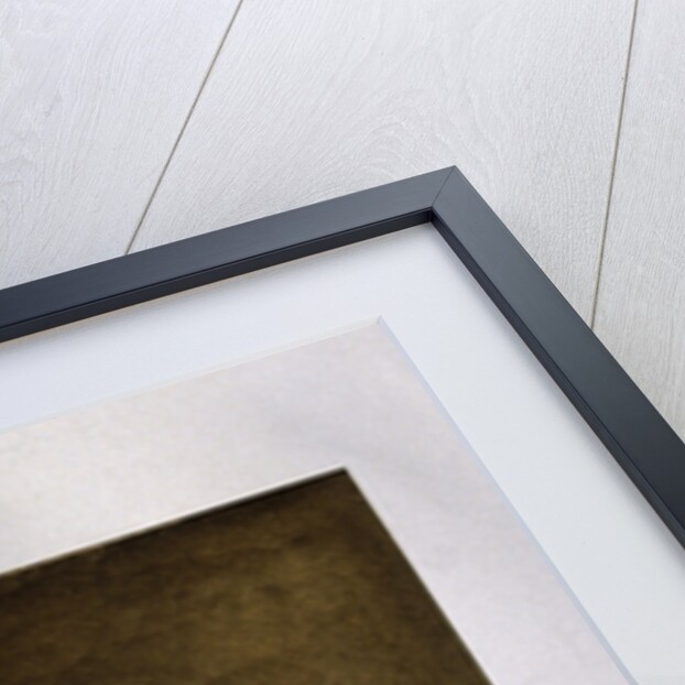 Jean-Baptiste Pierre Antoine de Monet, Chevalier de Lamarck, 1801 by Anonymous