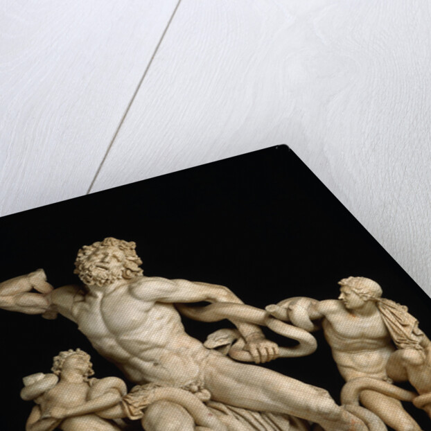 Laocoön and his sons (The Laocoön Group), 1st century BC by Anonymous