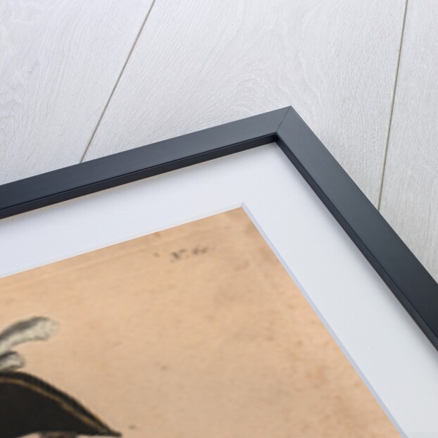 Louis Antoine of France, Duke of Angoulême, ca 1820 by Anonymous