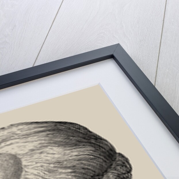 Louis Bernard Guyton de Morveau, 1889 by Anonymous