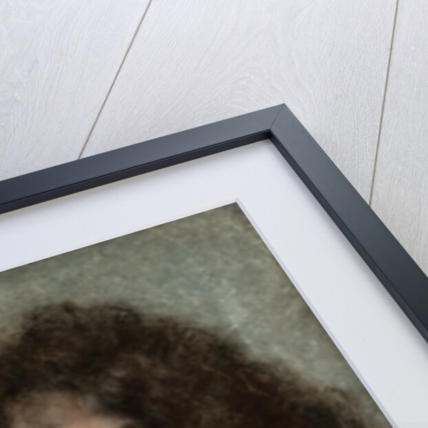 Louis XIV, King of France, 1667 by Anonymous