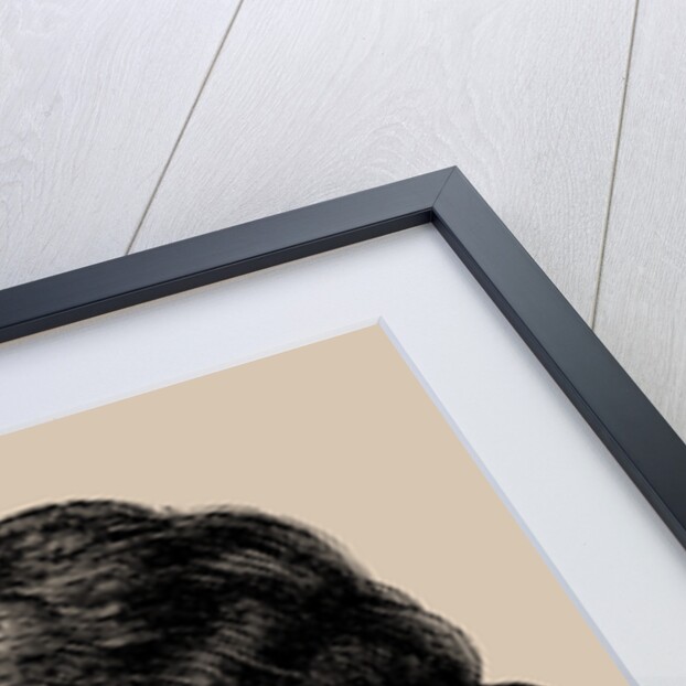 Louis-Marie Stanislas Fréron, 1889 by Anonymous