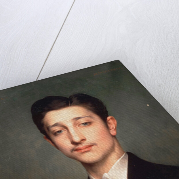 Louis-Napoléon Bonaparte, Prince Imperial, 1874 by Anonymous