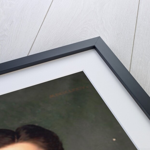 Louis-Napoléon Bonaparte, Prince Imperial, 1874 by Anonymous