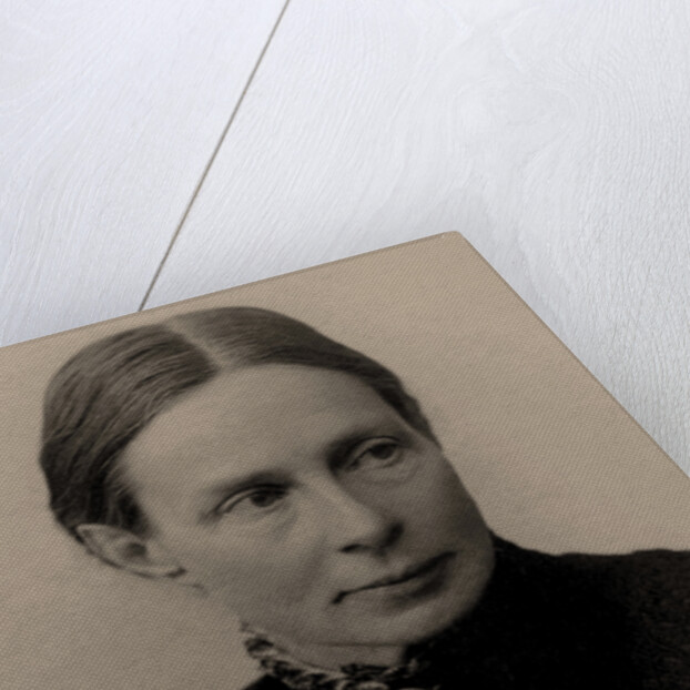 Marie Heim-Vögtlin, 1890s by Anonymous