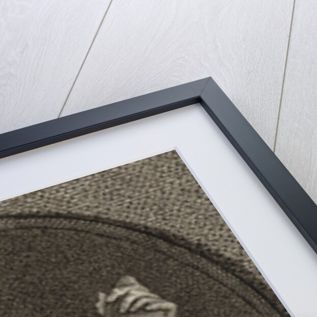 Maximilien de Robespierre, 1796 by Anonymous