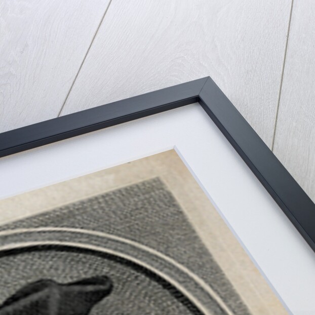 Michel de Nostredame, called Nostradamus by Anonymous