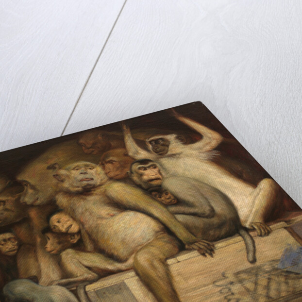 Monkeys as Judges of Art, c. 1889 by Anonymous