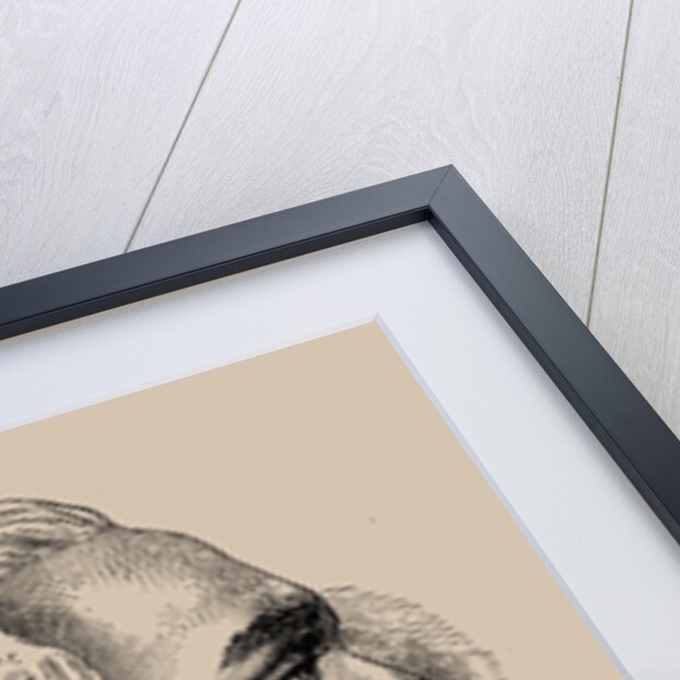 Portrait of Anne Robert Jacques Turgot, baron de lAulne, 1889 by Anonymous