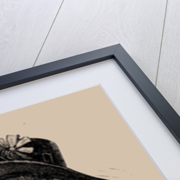 Portrait of Anne-Josèphe Théroigne de Méricourt, 1889 by Anonymous