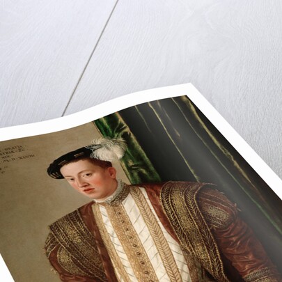 Portrait of Ferdinand II, Archduke of Austria, 1548 by Anonymous