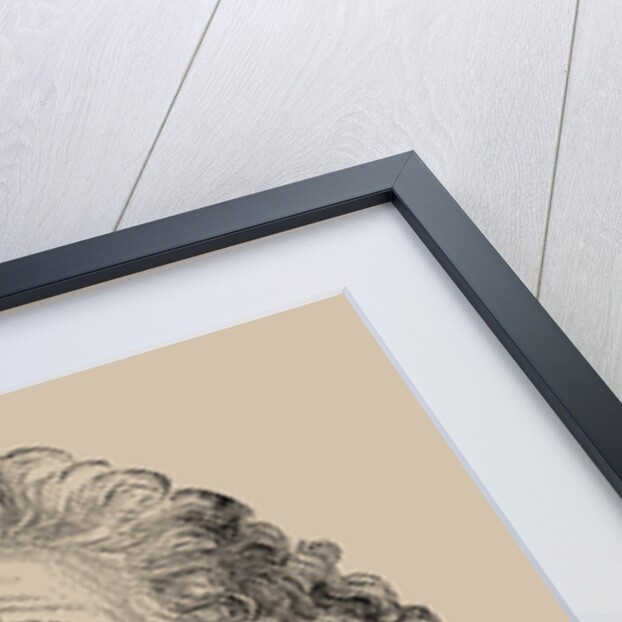 Portrait of Honoré Gabriel Riqueti, comte de Mirabeau, 1889 by Anonymous