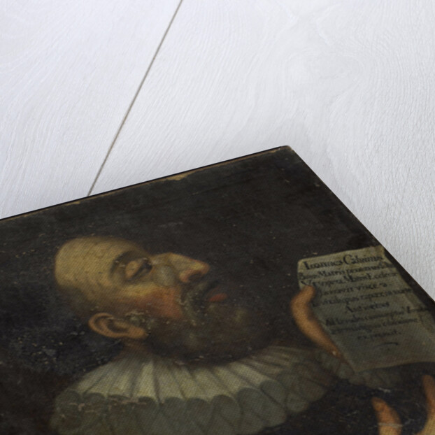 Portrait of John Calvin, 1559 by Anonymous