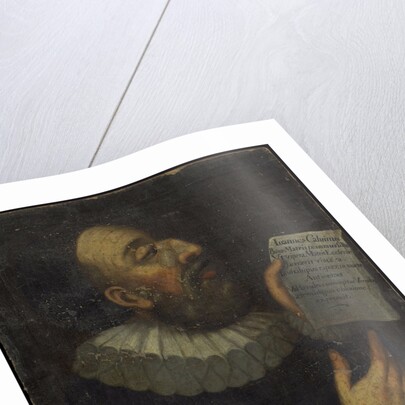 Portrait of John Calvin, 1559 by Anonymous
