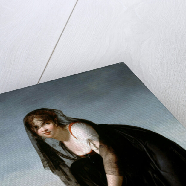 Portrait of Madame Soustras, 1802 by Anonymous