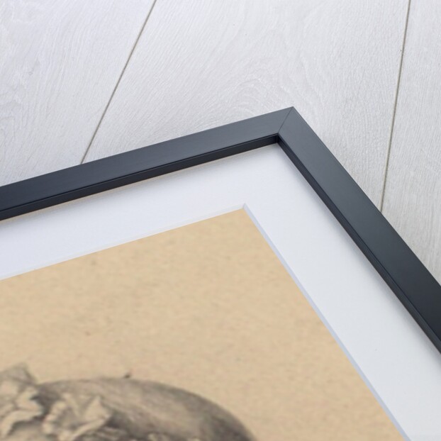 Portrait of Marie dAgoult, by Anonymous