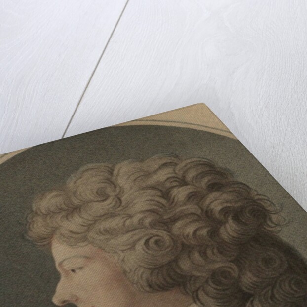 Portrait of Marie Louise of Savoy, Princess of Lamballe, 1791 by Anonymous