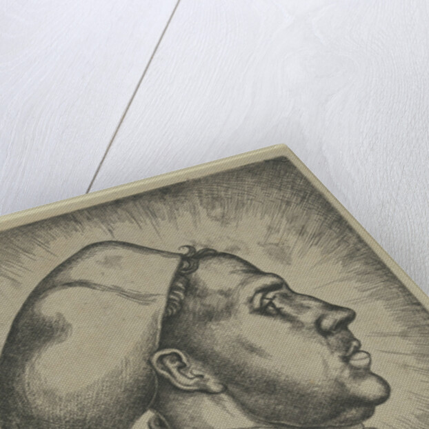Portrait of Martin Luther, 1523 by Anonymous