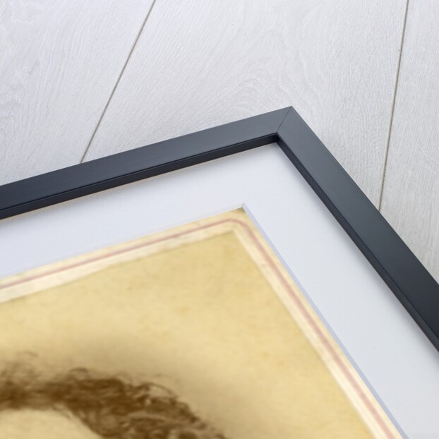 Portrait of Mikhail Alexandrovich Bakunin, ca 1860 by Anonymous