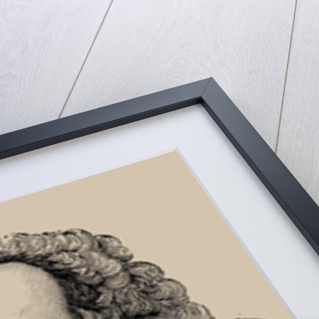 Portrait of Porträt von Francois Marie Arouet de Voltaire, 1889 by Anonymous