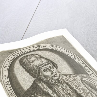 Portrait of Sigismund II Augustus, King of Poland, ca 1560-1565 by Anonymous