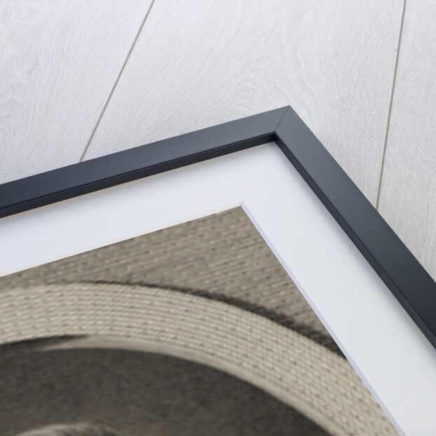 Portrait of the composer André Ernest Modeste Grétry, 1786 by Anonymous