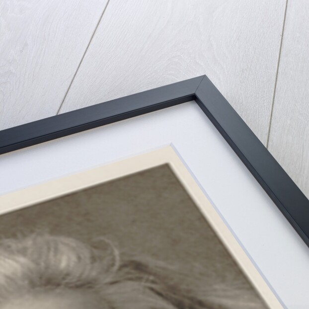 Portrait of the composer Edvard Grieg, by Anonymous