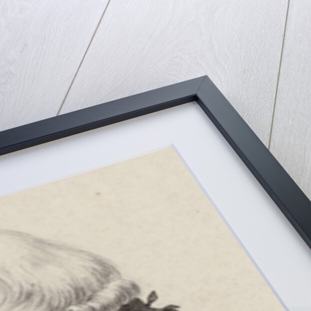 Portrait of the composer François-Joseph Gossec, 1820 by Anonymous