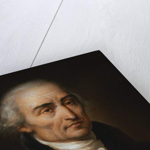 Portrait of the mathematician Joseph-Louis Lagrange, 1800s by Anonymous