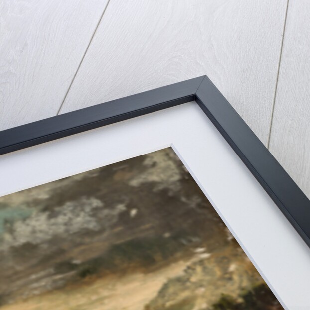 Scene from Don Quijote de la Mancha by M. de Cervantes, 1868-1870 by Anonymous