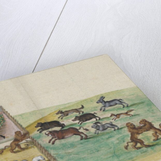 The breaking of the wild Lutheran beasts into the vineyard of the Lord by Anonymous