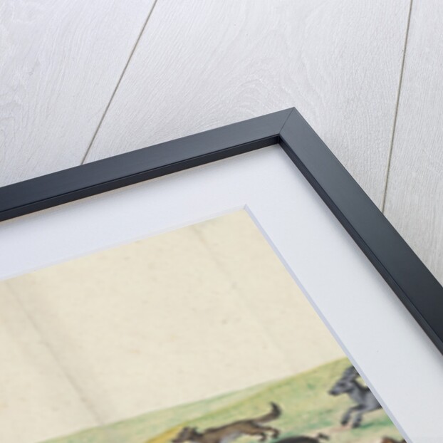 The breaking of the wild Lutheran beasts into the vineyard of the Lord by Anonymous