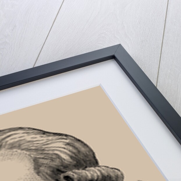 Thomas de Mahy, Marquis de Favras, 1889 by Anonymous