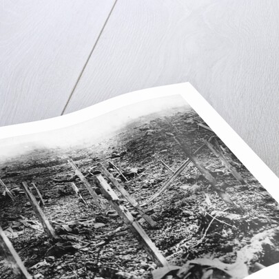 Verdun 1916, 1916 by Anonymous