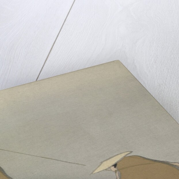 Hikifune by Anonymous