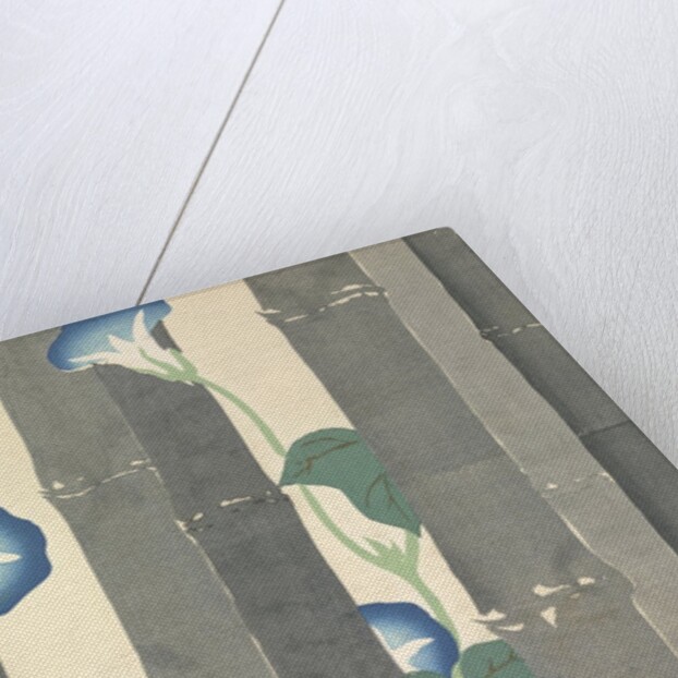 Asagao by Anonymous