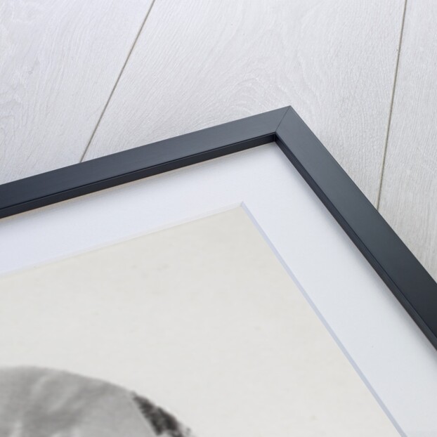 Night on the Eve of Ivan Kupala in Pargolovo, 1833 by Anonymous